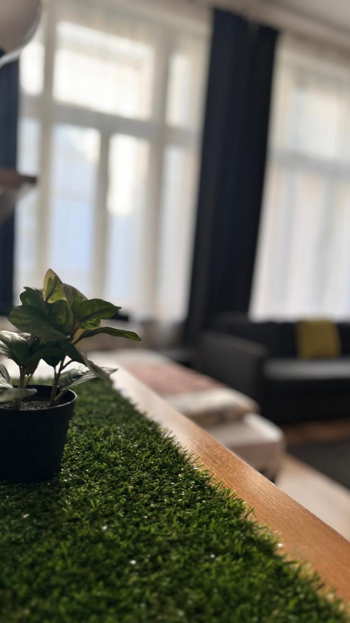 Central Walk Fashionstreet Apartmnts بودابست المظهر الخارجي الصورة