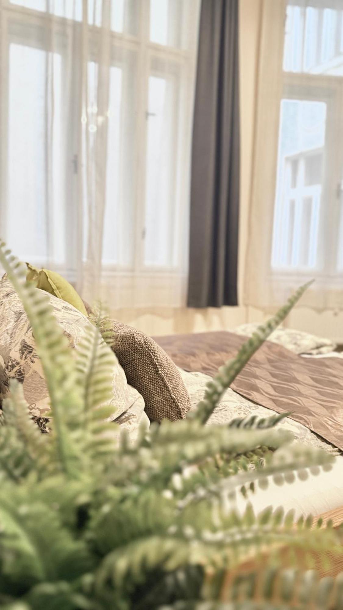 Central Walk Fashionstreet Apartmnts بودابست المظهر الخارجي الصورة